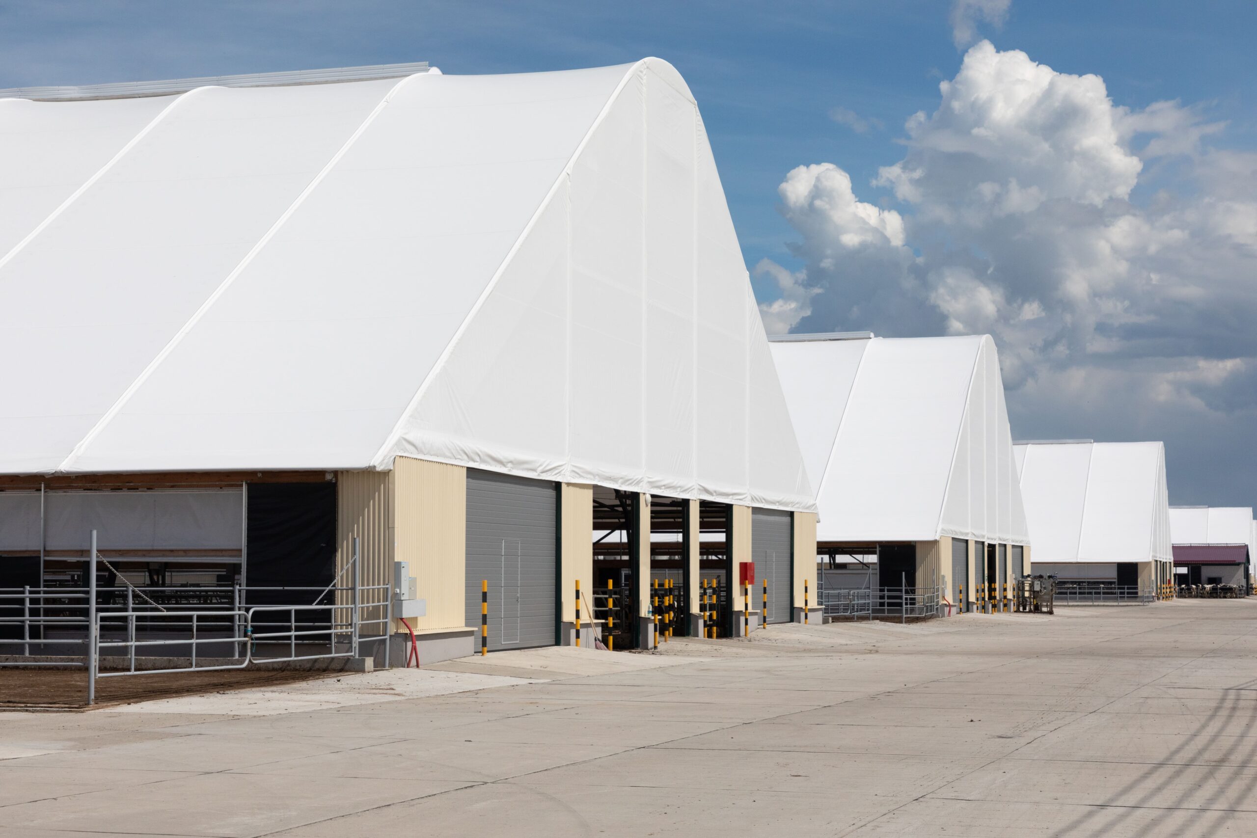cascade-of-tent-buildings-on-a-modern-cow-farm-2025-02-15-20-19-25-utc (1)
